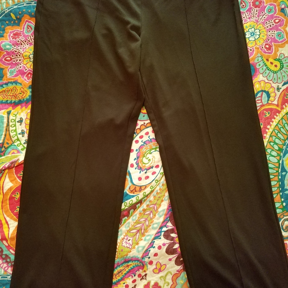 Cato brand pull on pants size 18/20